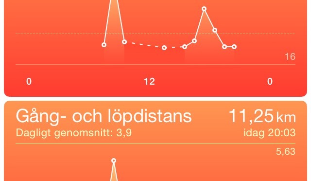 Dag 5
